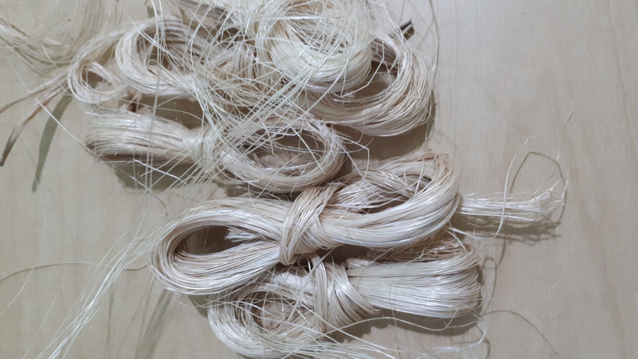 Adding Value to Abaca Fibre Through Weaving and Natural Dyeing for